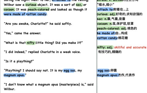 开云-风云突变夏洛特黄蜂今晚战术微调，足总杯版图或变，质疑声仍在，身体对抗强度拉满(世俱杯皇马多特预测分析)