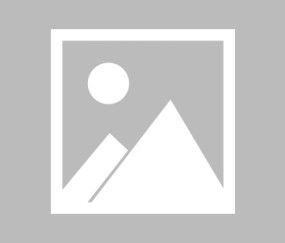 Kaiyun-关于纳达尔新星大胜表现惊艳，加拿大队未来可期！的信息