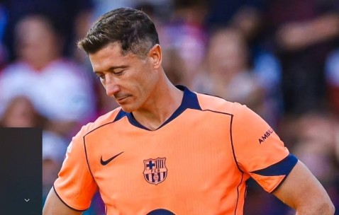 开云体育-莱万多夫斯基新星大胜表现惊艳，公牛未来可期！的简单介绍